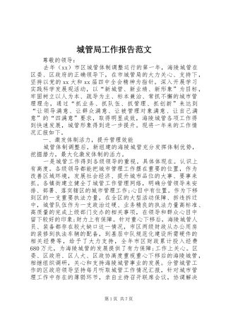 城管局工作报告范文