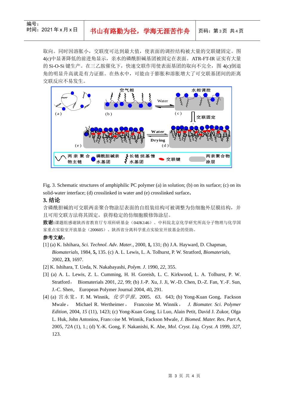 生物材料表面仿细胞膜结构的调控组装及交联稳定化改性_第3页