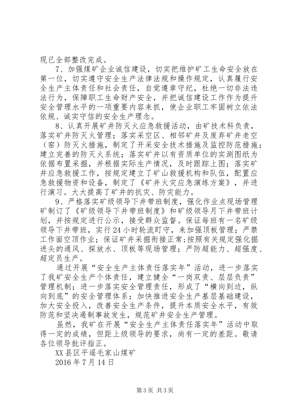 安全主体责任年汇报_第3页