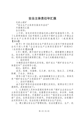 安全主体责任年汇报