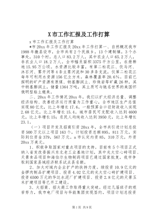 X市工作汇报及工作打算
