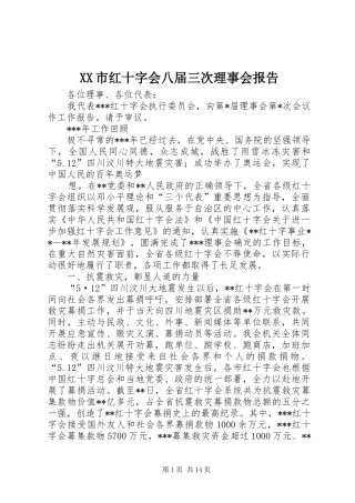 XX市红十字会八届三次理事会报告