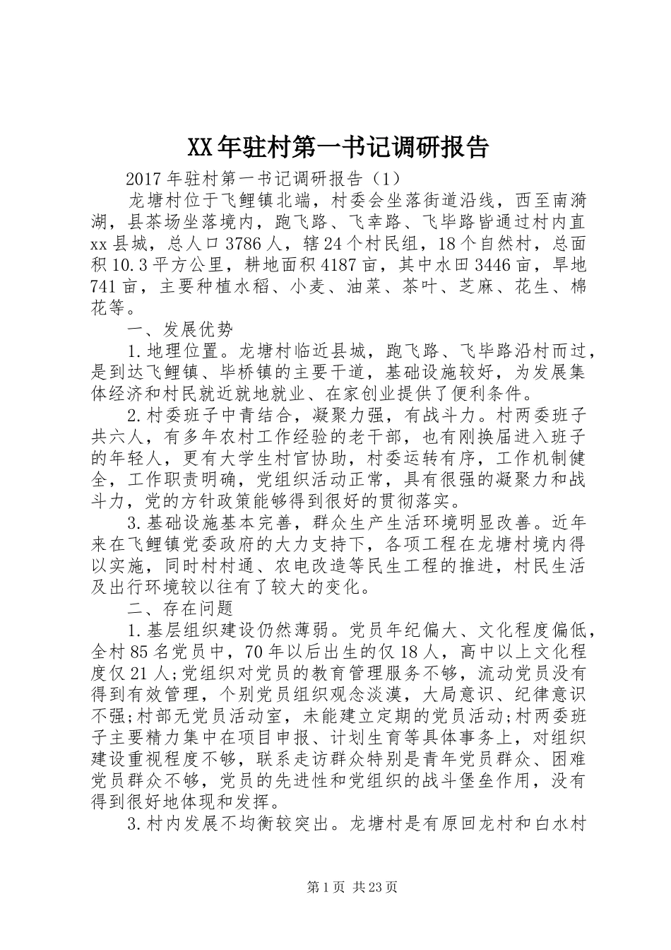 XX年驻村第一书记调研报告_第1页