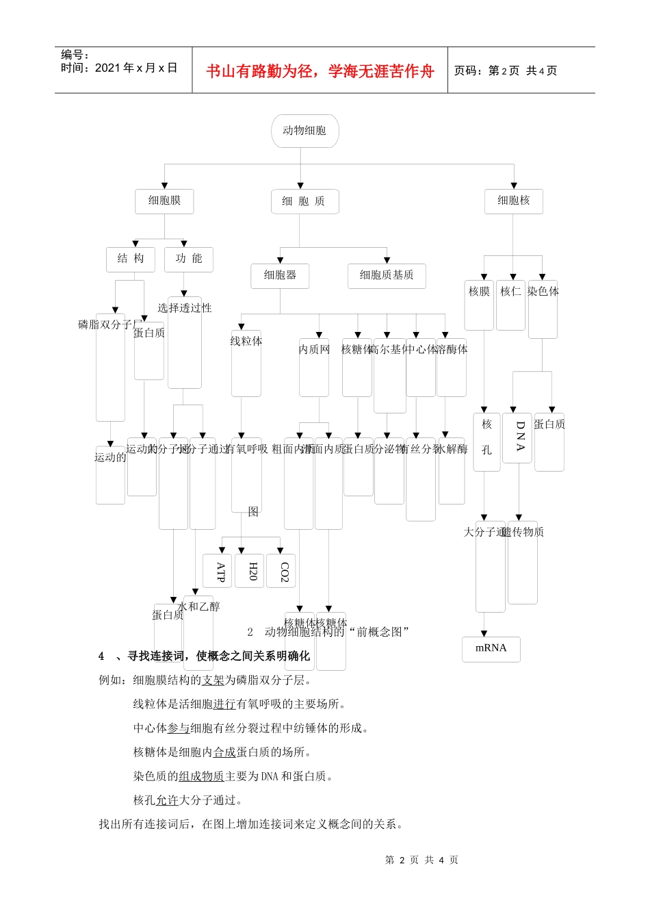 生物科第一轮复习中如何应用概念图复习_第2页