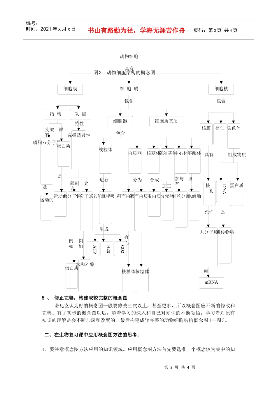 生物科第一轮复习中如何应用概念图复习_第3页