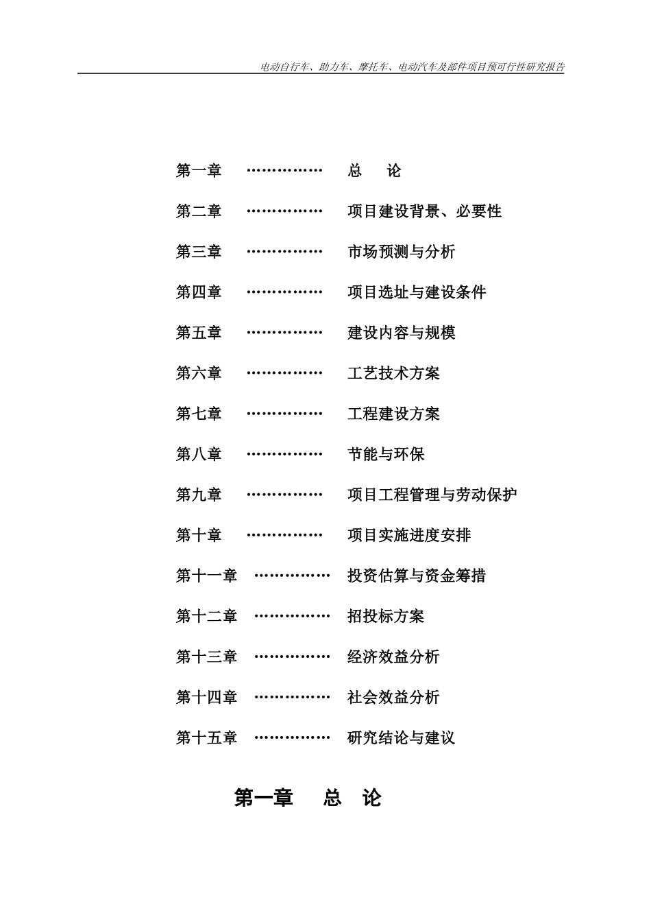 电动车项目可行性研究报告_第2页
