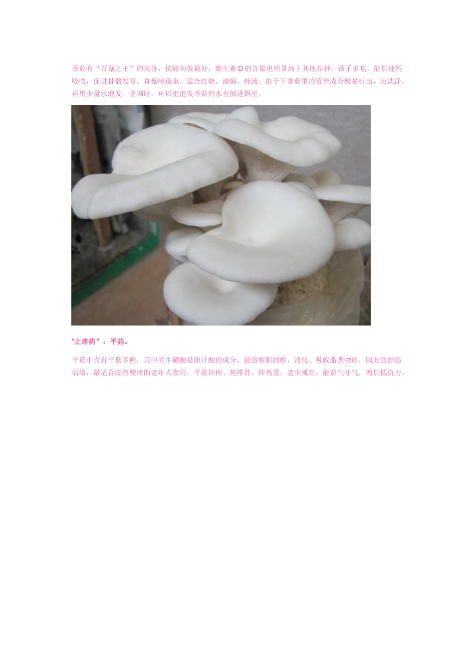 家常菜蘑菇被称为“肠胃保护伞”_第2页