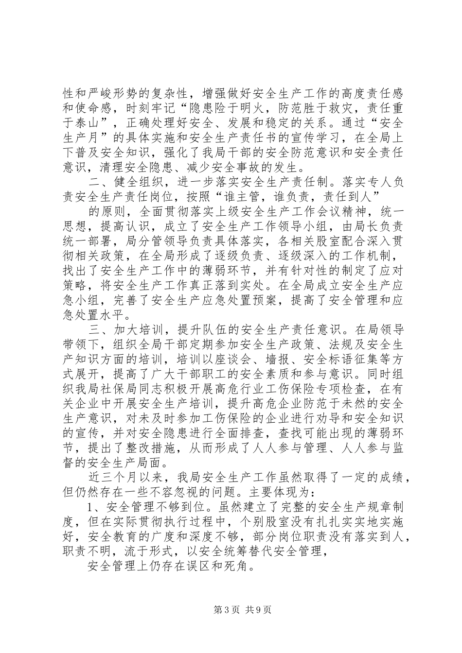 XX年安全生产履职报告_第3页