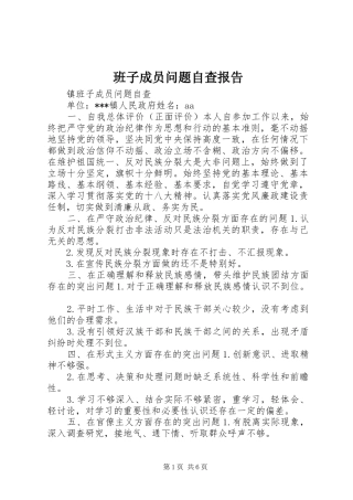 班子成员问题自查报告