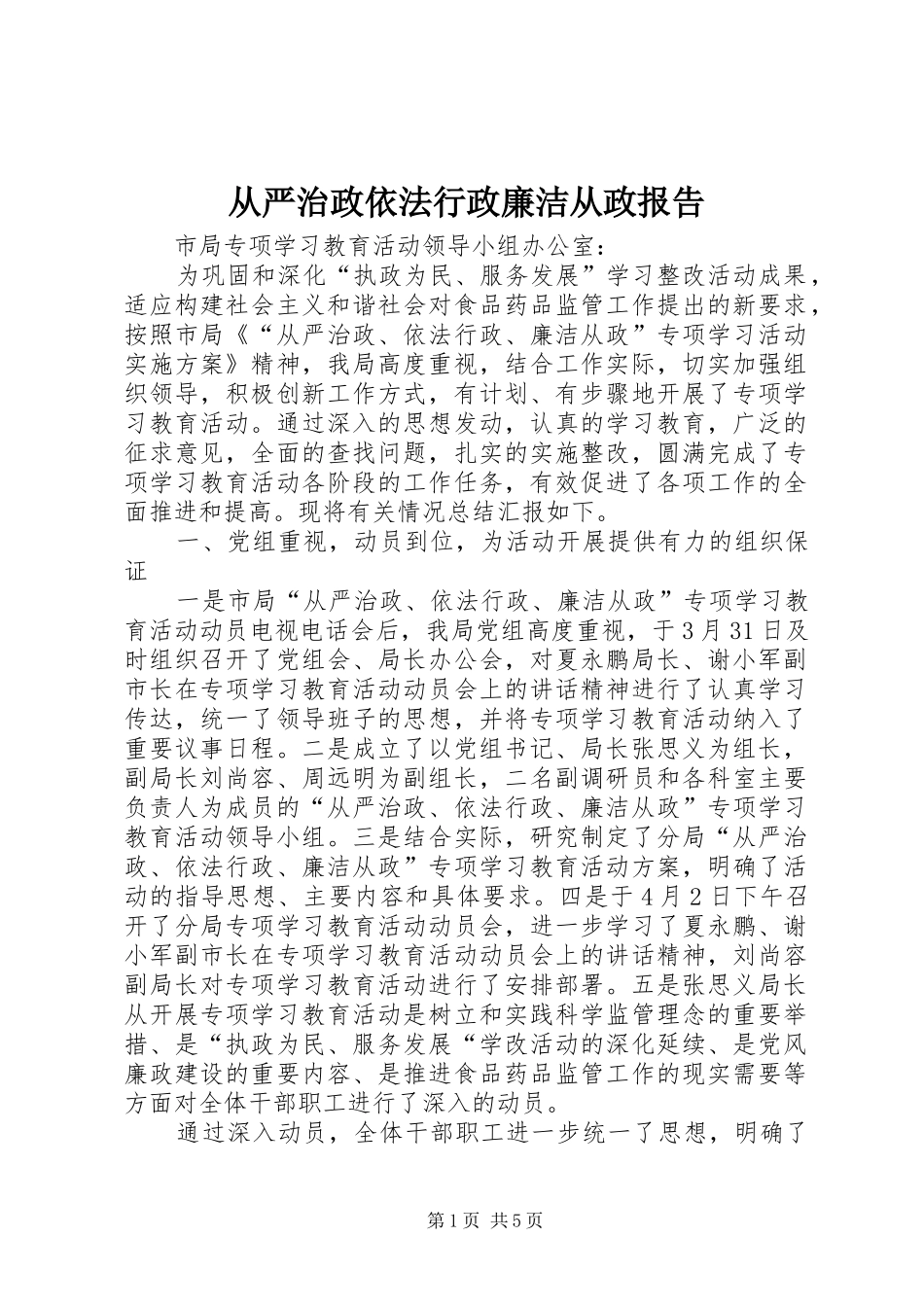 从严治政依法行政廉洁从政报告_第1页