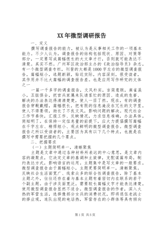 XX年微型调研报告