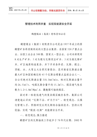 鹤壁煤业瓦斯防治技术经验交流