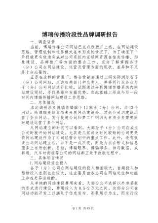博瑞传播阶段性品牌调研报告