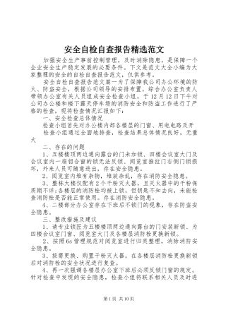安全自检自查报告精选范文