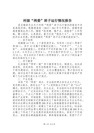 村级“两委”班子运行情况报告