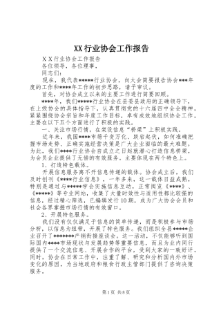 XX行业协会工作报告