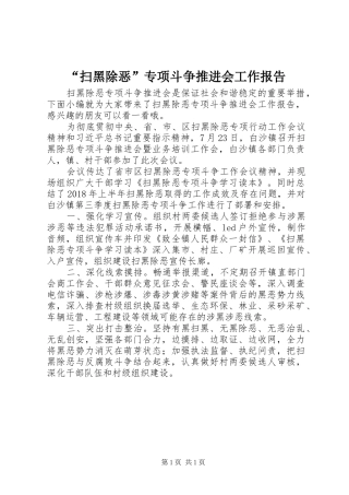 “扫黑除恶”专项斗争推进会工作报告