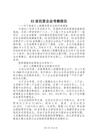 XX省民营企业考察报告