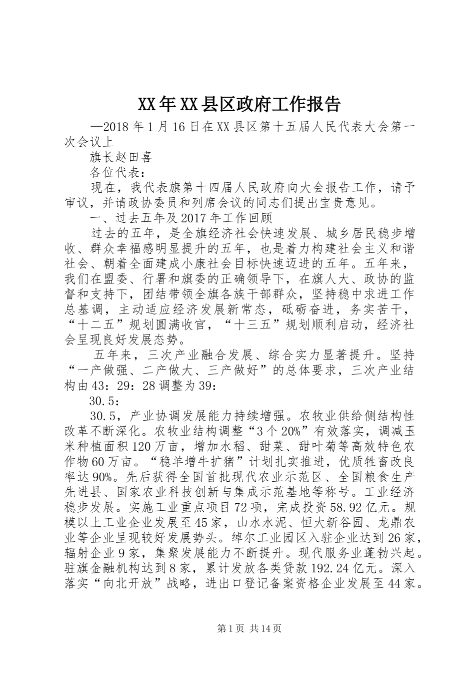 XX年XX县区政府工作报告 (30)_第1页