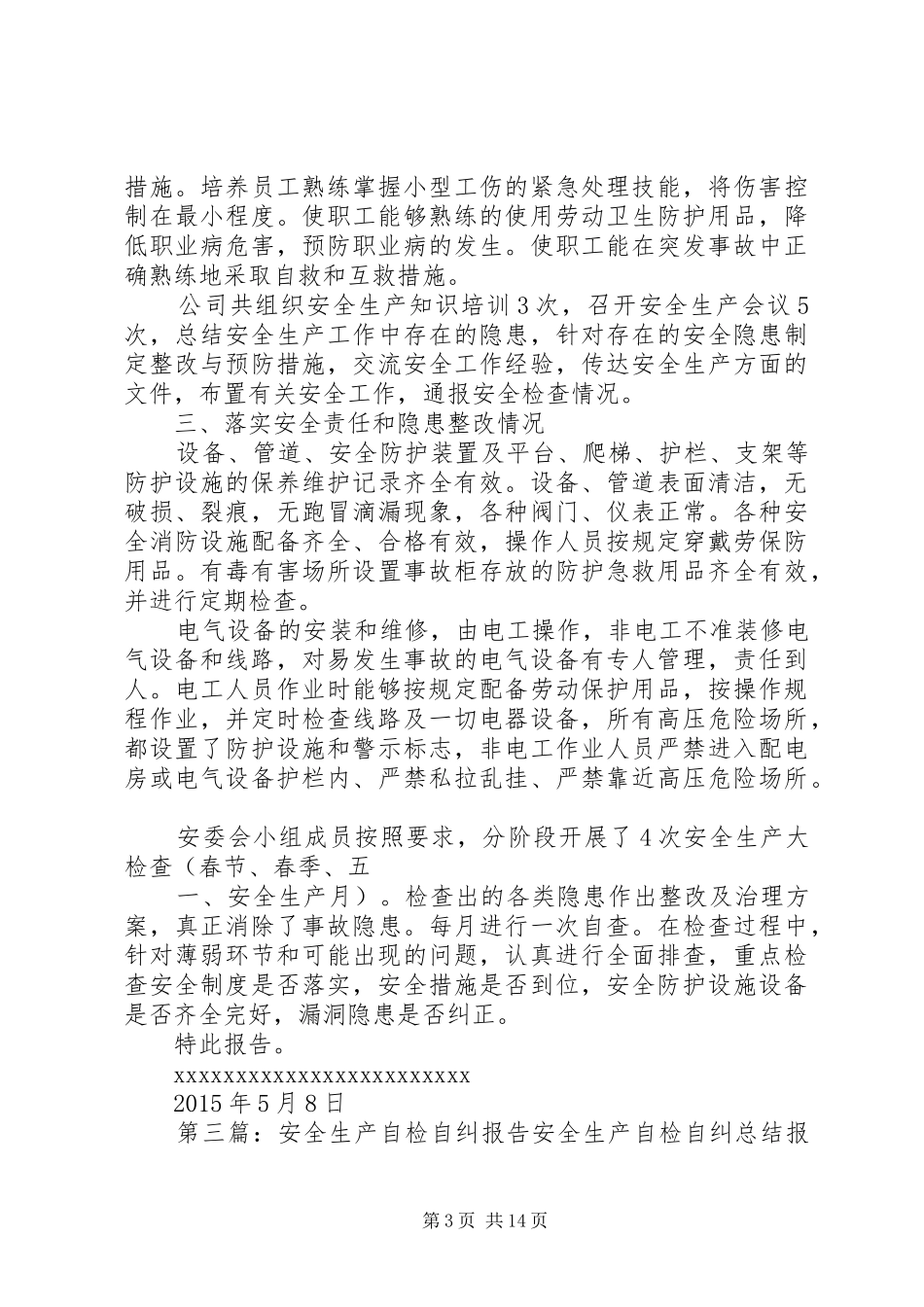 安全生产自检报告_第3页