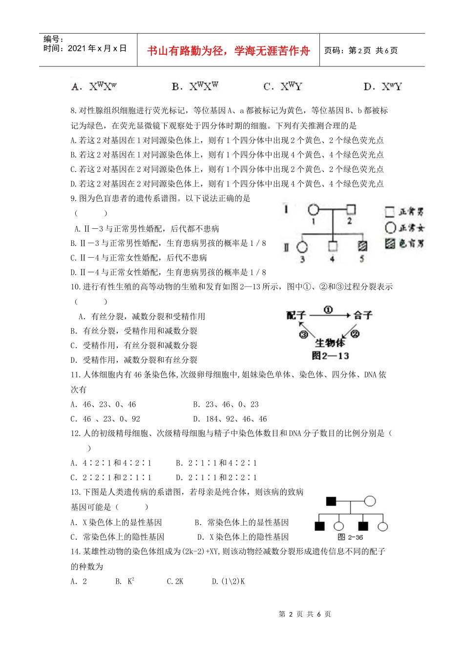 高中生物 模块综合练习题(一)新人教版必修2_第2页