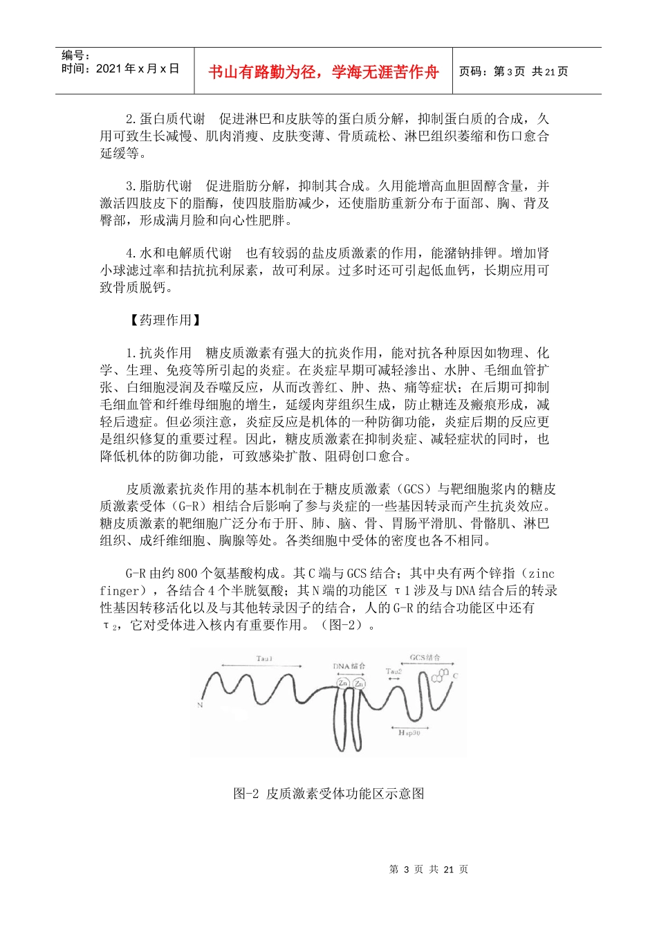 第三十四章肾上腺皮质激素类药物_第3页