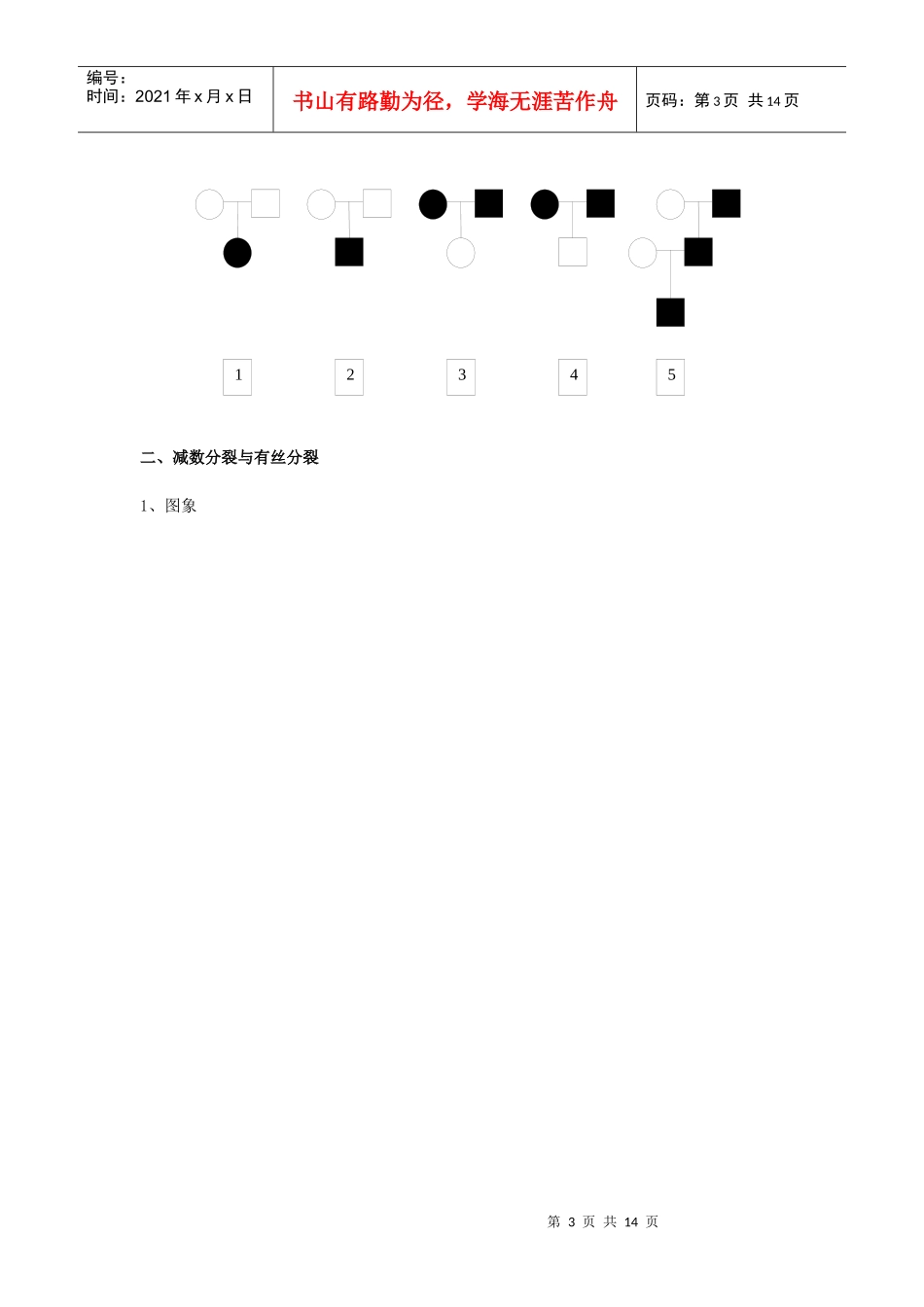 高中生物 《遗传与进化》经典知识背诵篇素材 新人教版必修2_第3页