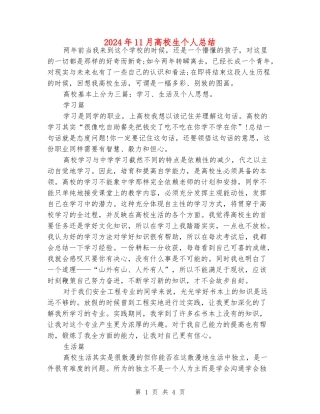 2024年11月大学生个人总结