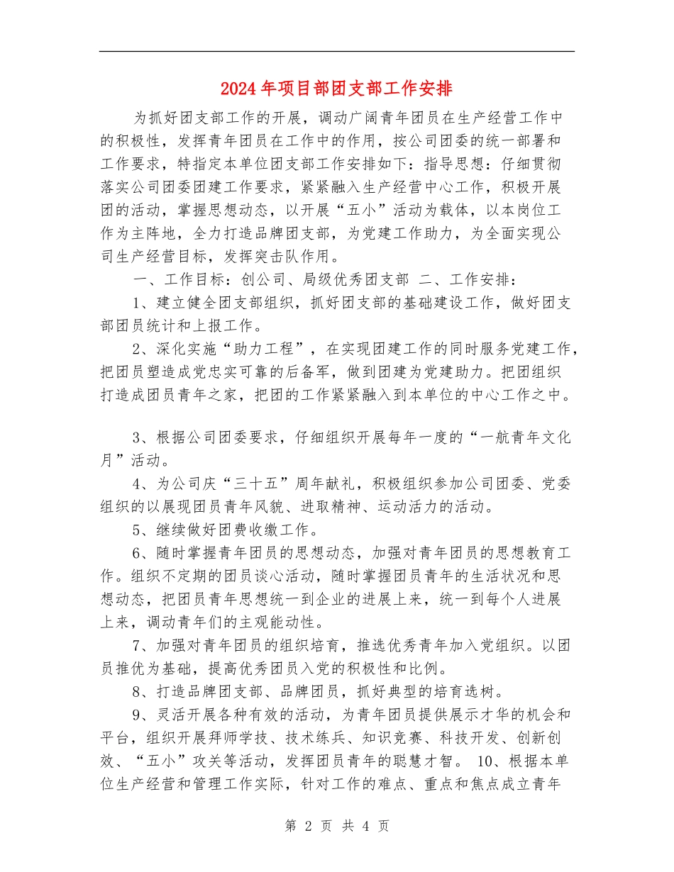 2024年项目部团支部工作安排_第2页