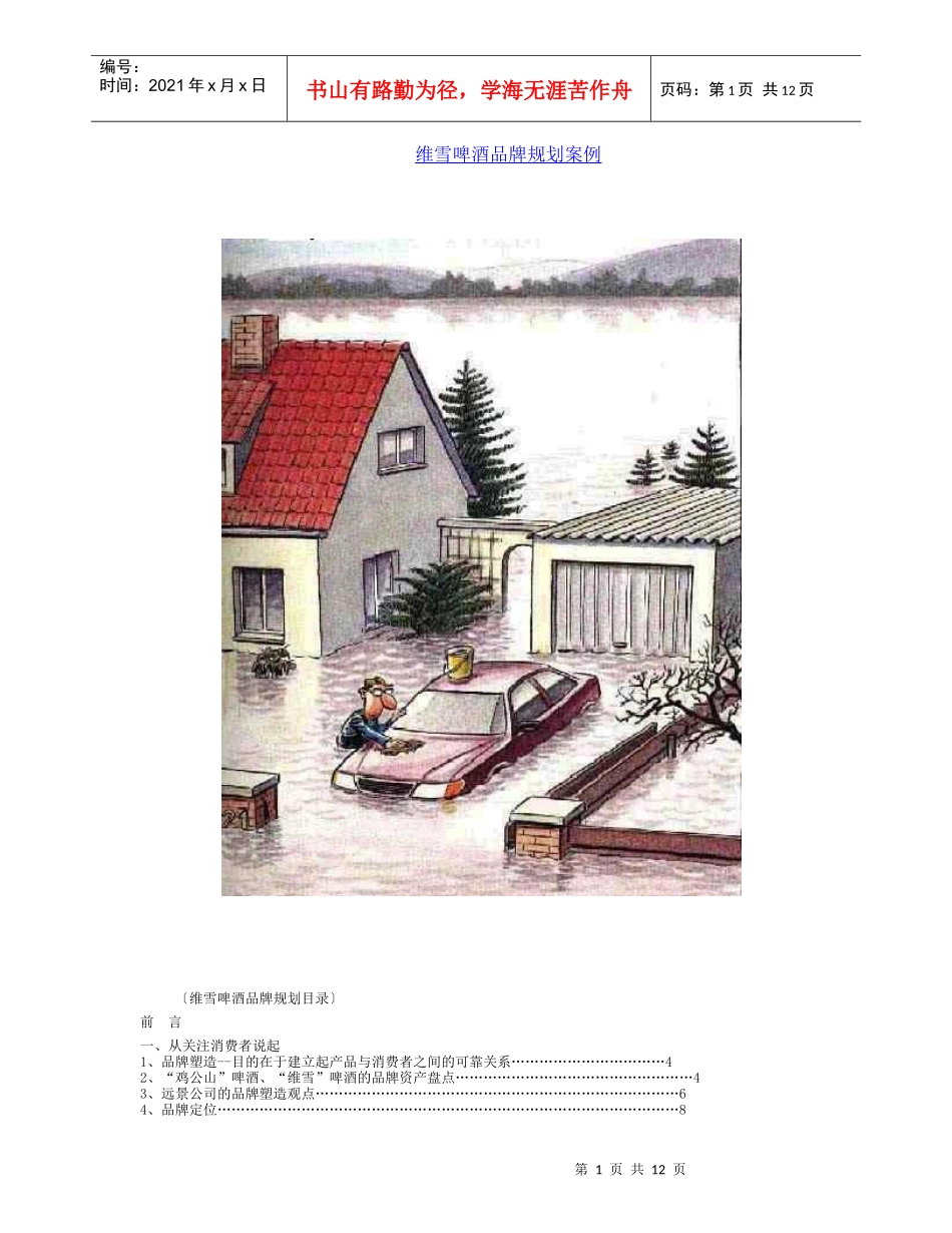 维雪啤酒品牌规划案例_第1页