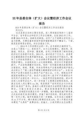 XX年县委全体（扩大）会议暨经济工作会议报告