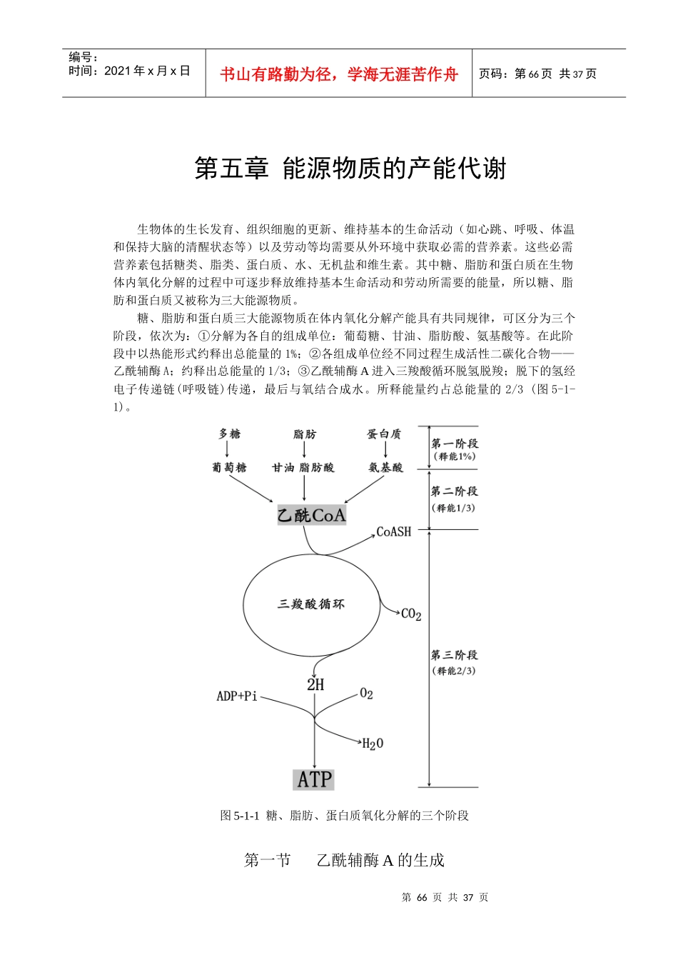 第五章能源物质的产能代谢-第六章_第1页