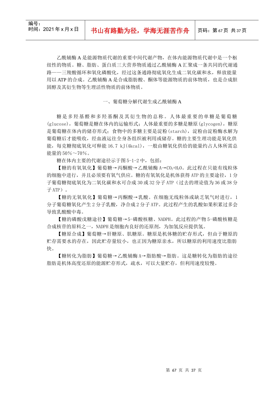 第五章能源物质的产能代谢-第六章_第2页