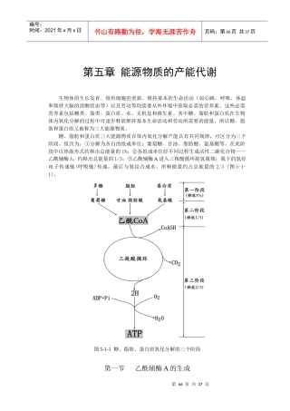 第五章能源物质的产能代谢-第六章