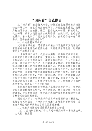 “回头看”自查报告