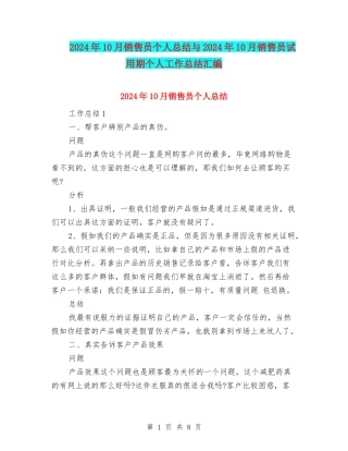 2024年10月销售员个人总结与2024年10月销售员试用期个人工作总结汇编