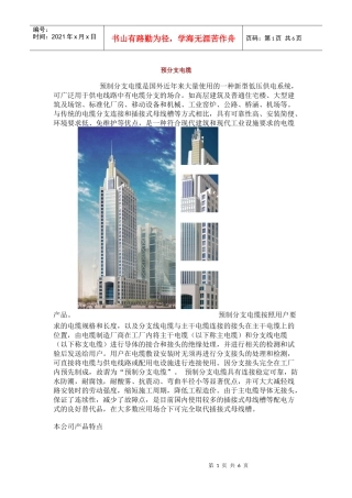预留分支电缆