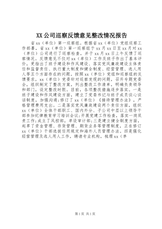 XX公司巡察反馈意见整改情况报告
