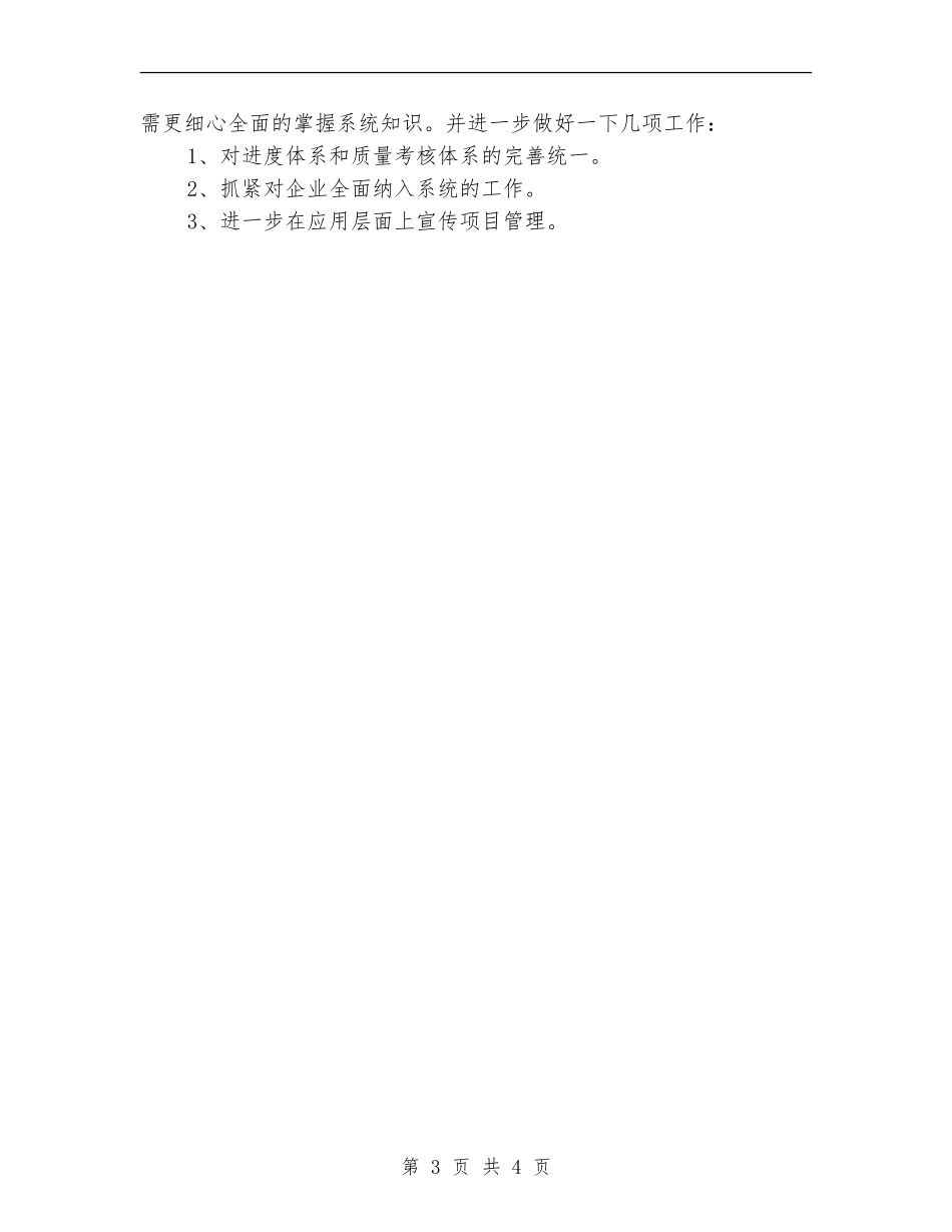 项目管理年终工作总结最新_第3页