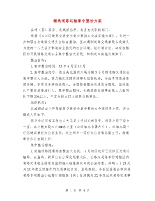 道路运输集中整治方案
