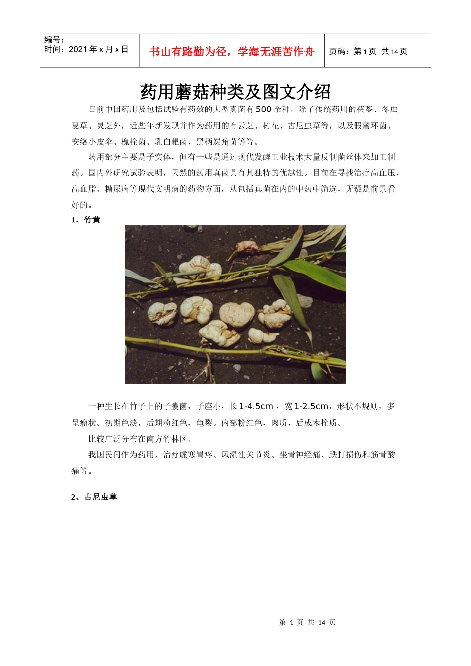 药用蘑菇种类及图文介绍_第1页