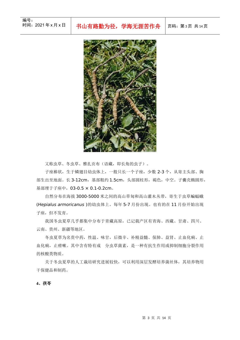 药用蘑菇种类及图文介绍_第3页