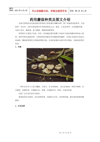 药用蘑菇种类及图文介绍