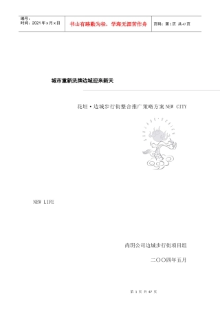 边城步行街广告包装推广方案