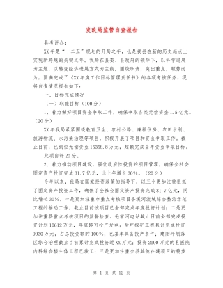 发改局监管自查报告