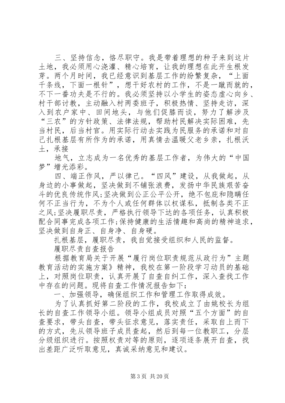 XX履职尽责自查报告(小学)_第3页