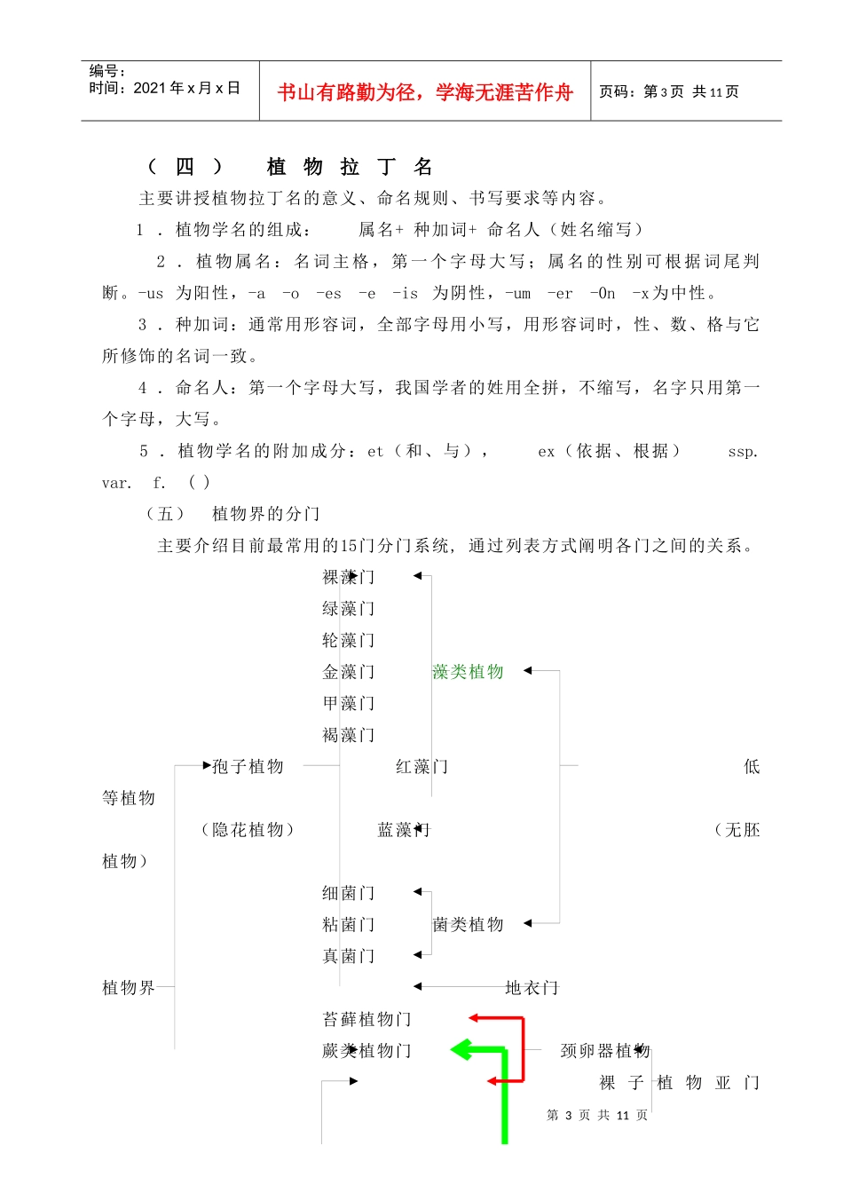 药用植物学3_第3页