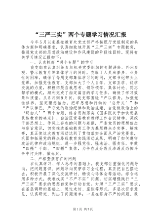“三严三实”两个专题学习情况汇报