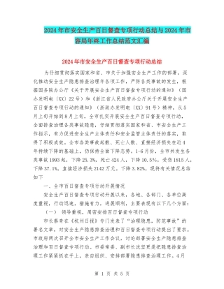 2024年市安全生产百日督查专项行动总结与2024年市容局年终工作总结范文汇编