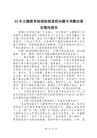 XX年主题教育检视检视查找问题专项整治落实情况报告